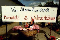 Vom Stamm zum Scheit